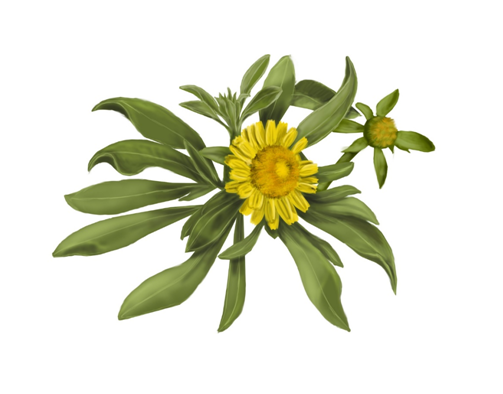 Tramissão de Prédio Online